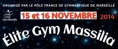 Elite Gym Massilia 2014 Marseille (FRA) 2014 November 15-16