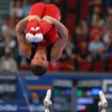 Artemev Alexander USA 2007 Artistic Gymnastics World Championships